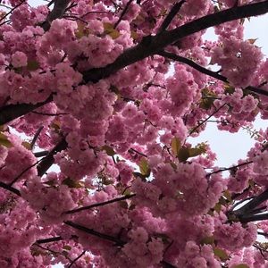 Meet your Posher, Kaitlyn